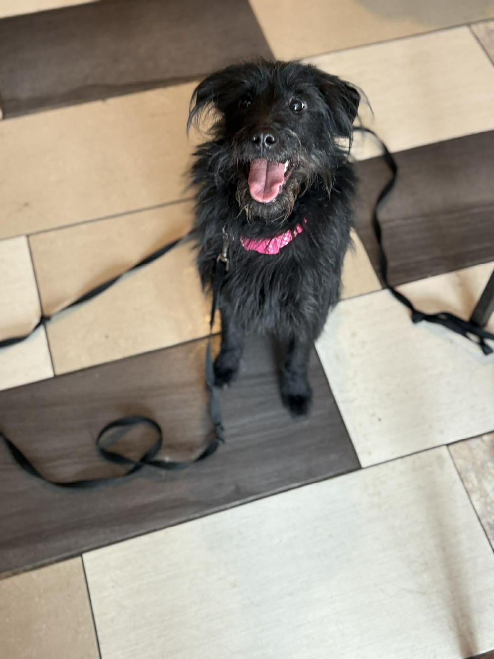 Photo de Ébourie-Fée