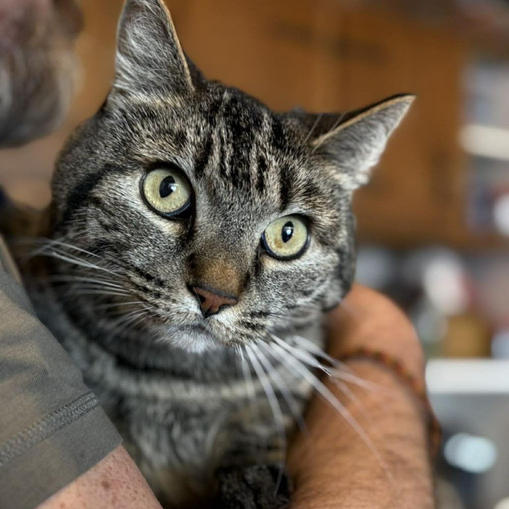 Photo de Tora