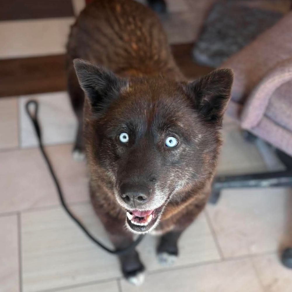 Photo de Blueskitelle