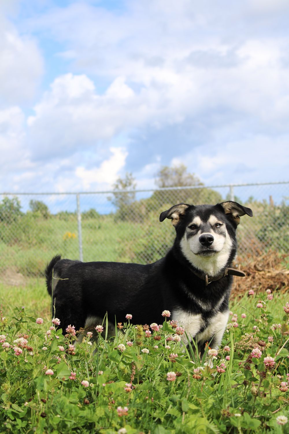 Photo de Thunder